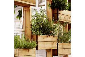 Enhancing Your Outdoor Space with Timber: A Comprehensive Guide