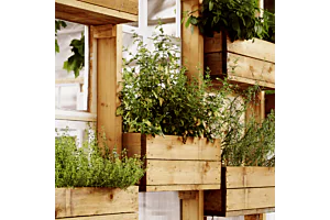 Enhancing Your Outdoor Space with Timber: A Comprehensive Guide