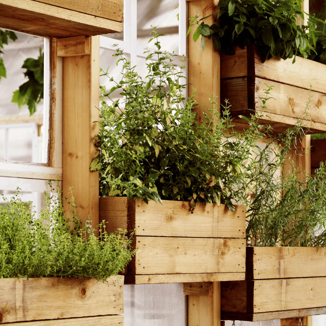 Enhancing Your Outdoor Space with Timber: A Comprehensive Guide